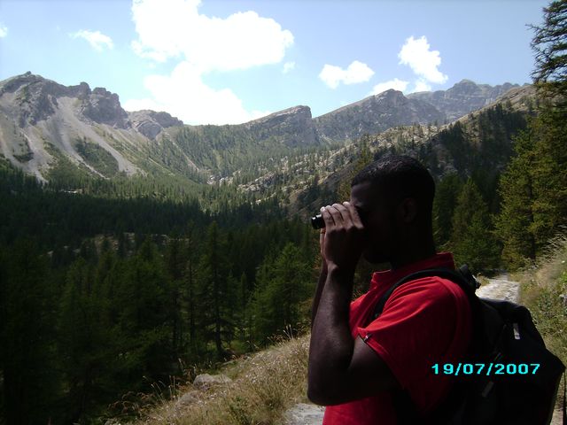 Observation de la faune